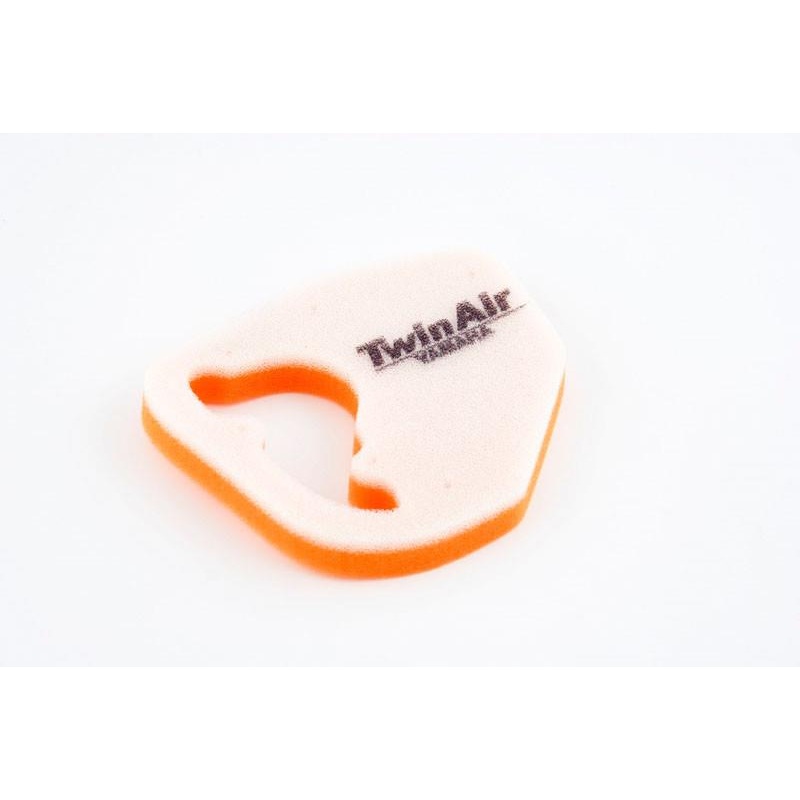 Twin Air Air Filter 152385