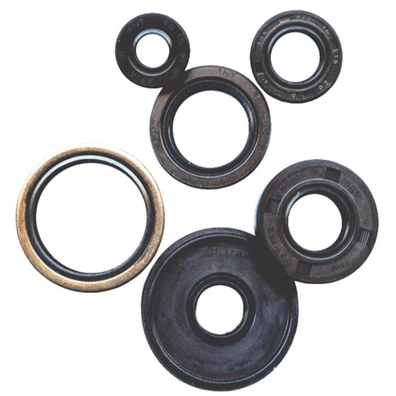 Winderosa Oil Seal Kit 822312