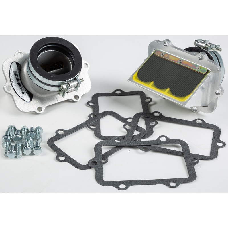 Boyesen 59-1561 Snowmobile Rage Cage