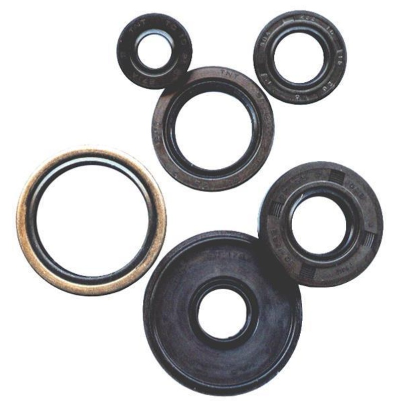 Winderosa Oil Seal Kit 822692