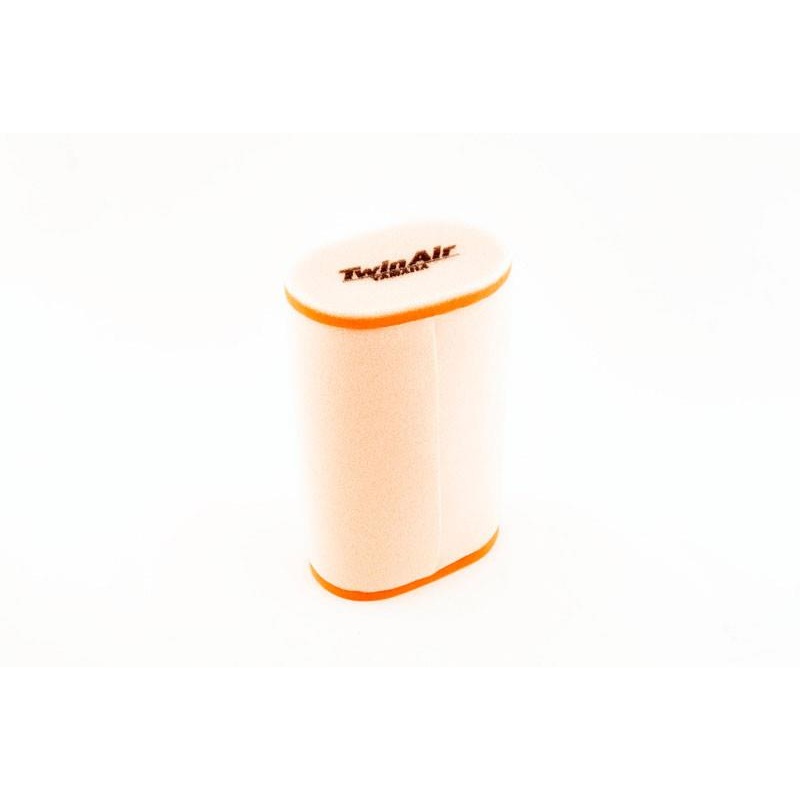 Twin Air Air Filter 152924
