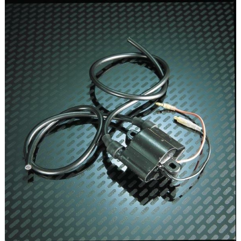 WSM Ignition Coil 004-195