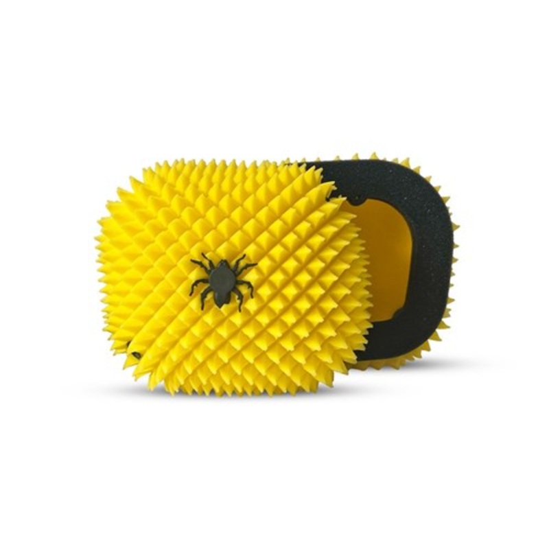 FWF TRIUMPH TF 250-X 24-25 TF 450-RC 2025