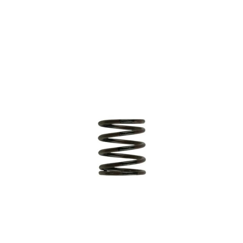 Turbosmart WG40 3PSI Inner Spring Brown/Black