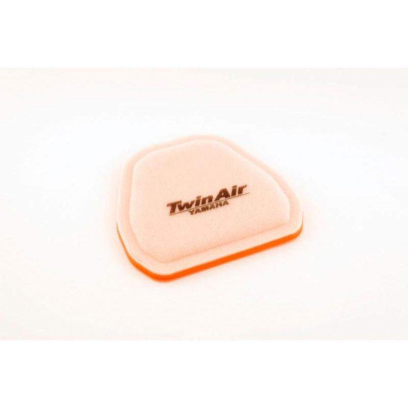 Twin Air Air Filter 152216