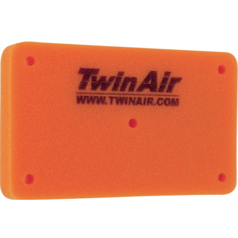 Twin Air Air Filter 151798
