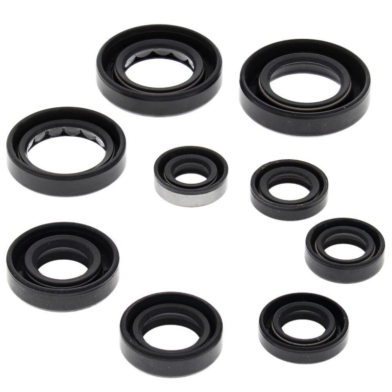 Vertex Oil Seal Kit 822341