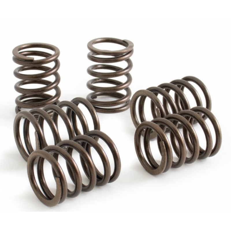 Koso North America Clutch Spring Set FT623001